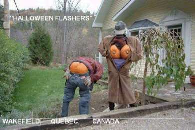 Pumpkin flashers